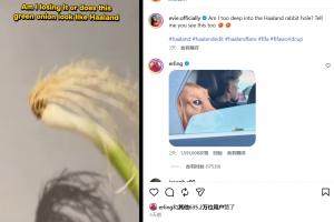 爆火！网友用“一根葱”cos哈兰德，哈兰德本人回复，超600万点赞